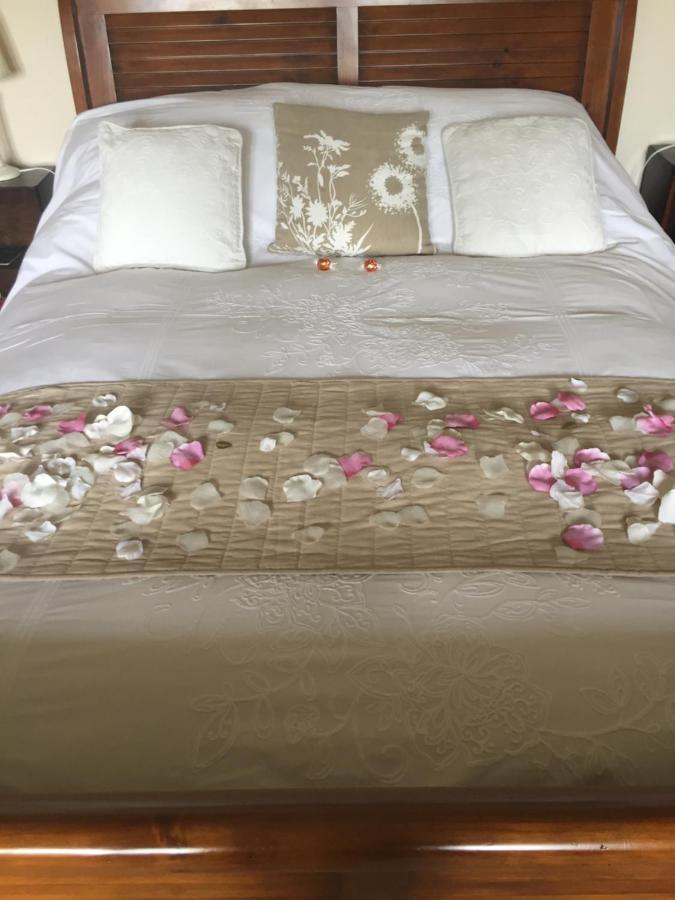 Seymours Court Bed and Breakfast Beckington Eksteriør billede